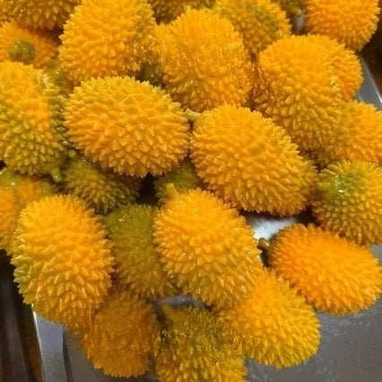 Crunchy Durian and Dragon Fruit Squishy Ball