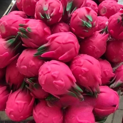 Crunchy Durian and Dragon Fruit Squishy Ball